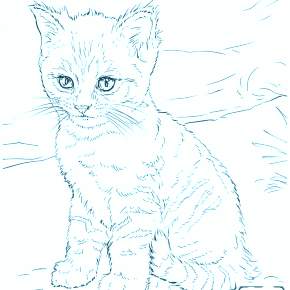 Раскраска Кошечки