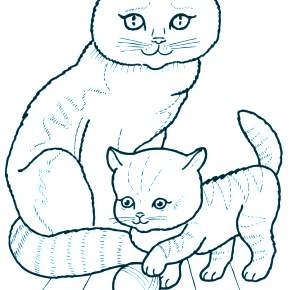 Раскраска Кошечки