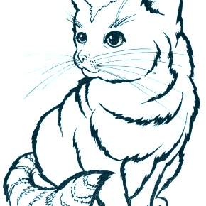 Раскраска Кошечки