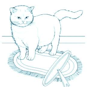 Раскраска Кошечки