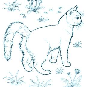 Раскраска Кошечки