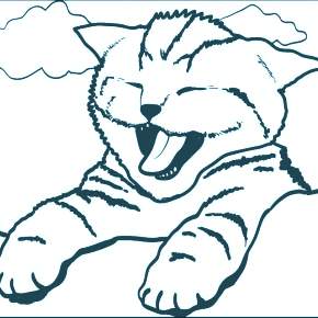 Раскраска Кошечки