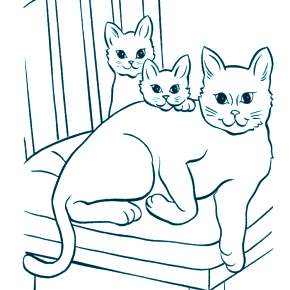 Раскраска Кошечки