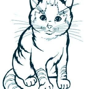 Раскраска Кошечки