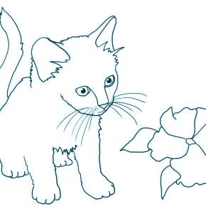 Раскраска Кошечки