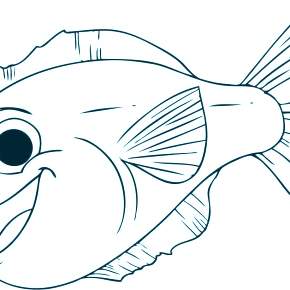 Раскраски Рыбки