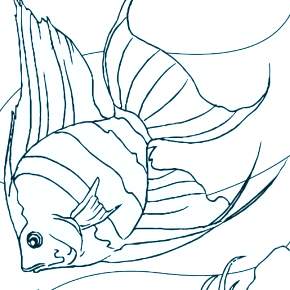 Раскраски Рыбки