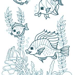 Раскраски Рыбки
