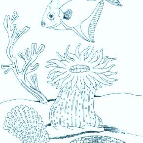 Раскраски Рыбки