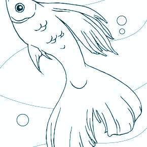 Раскраски Рыбки