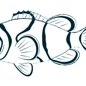 Раскраски Рыбки