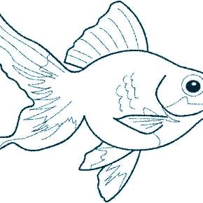 Раскраски Рыбки