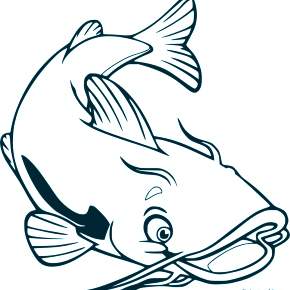 Раскраски Рыбки