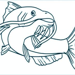 Раскраски Рыбки