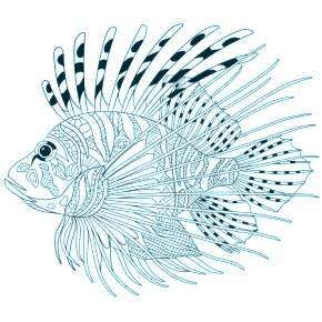 Раскраски Рыбки