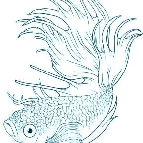 Раскраски Рыбки