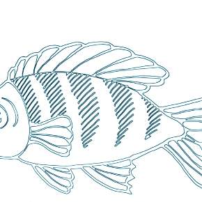 Раскраски Рыбки