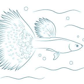 Раскраски Рыбки
