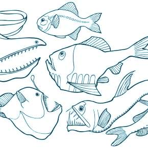 Раскраски Рыбки