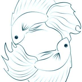Раскраски Рыбки