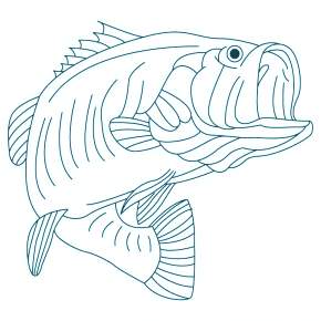 Раскраски Рыбки