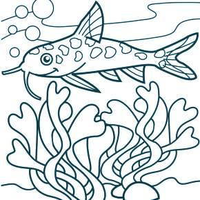 Раскраски Рыбки