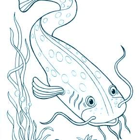 Раскраски Рыбки