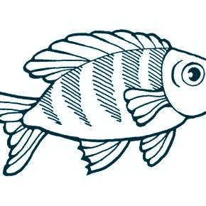 Раскраски Рыбки