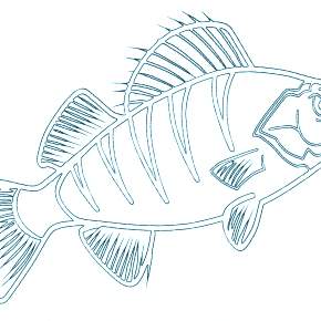 Раскраски Рыбки