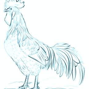 Раскраска Петушок