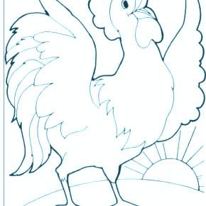 Раскраска Петушок