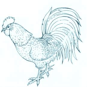 Раскраска Петушок