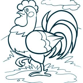 Раскраска Петушок