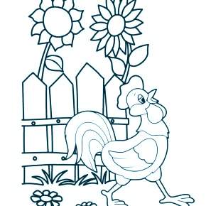 Раскраска Петушок