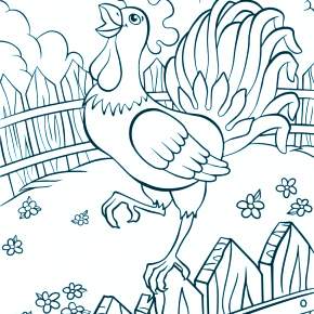 Раскраска Петушок