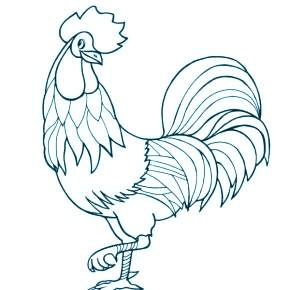 Раскраска Петушок