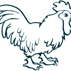 Раскраска Петушок