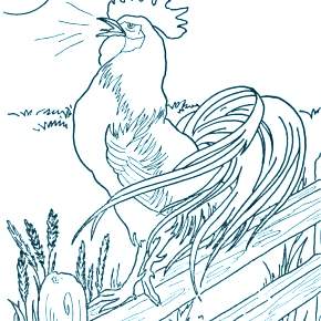 Раскраска Петушок