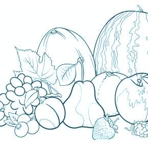 Раскраска Фрукты