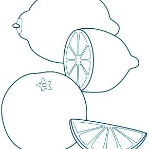 Раскраска Фрукты