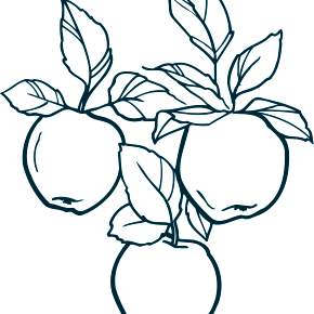 Раскраска Фрукты