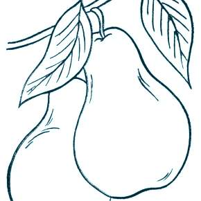 Раскраска Фрукты