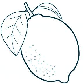 Раскраска Фрукты