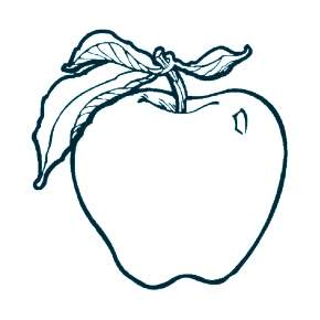 Раскраска Фрукты