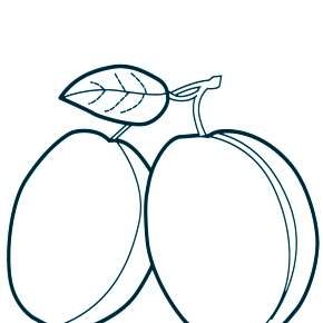 Раскраска Фрукты