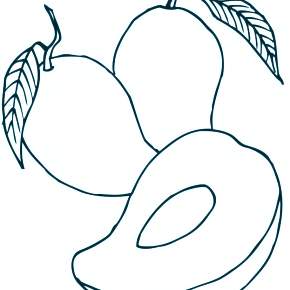 Раскраска Фрукты