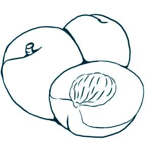 Раскраска Фрукты