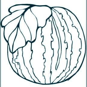 Раскраска Фрукты