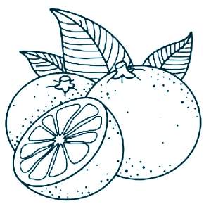 Раскраска Фрукты