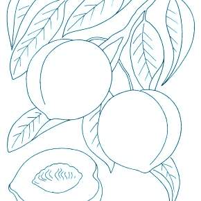 Раскраска Фрукты